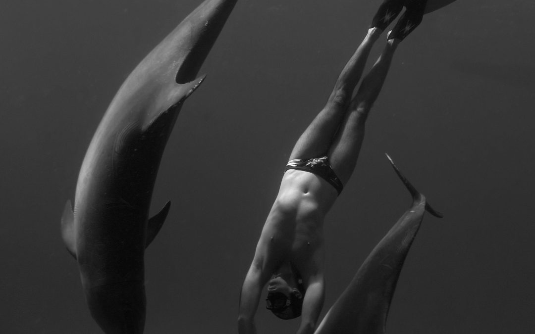 Swim like a Dolphin